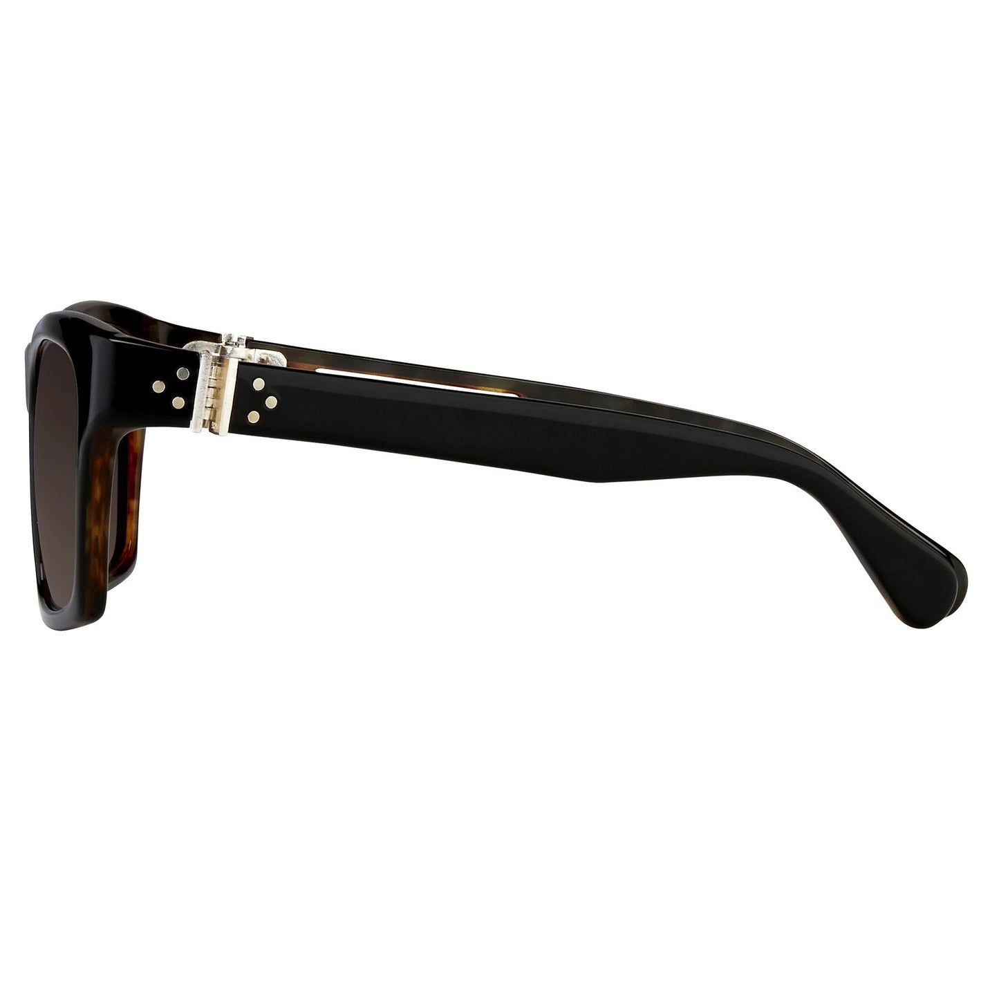 Ann Demeulemeester Sunglasses D-Frame Black Tortoise Shell Tone and Brown