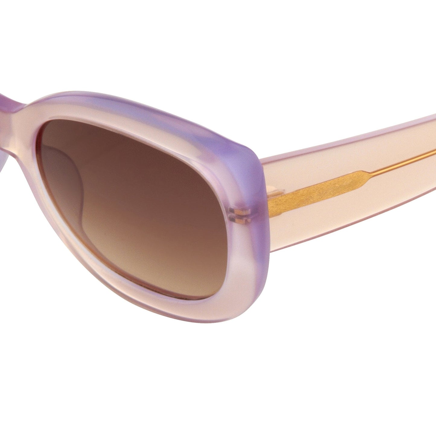 Agent Provocateur Ladies Sunglasses Round Beige and Brown AP57C4SUN