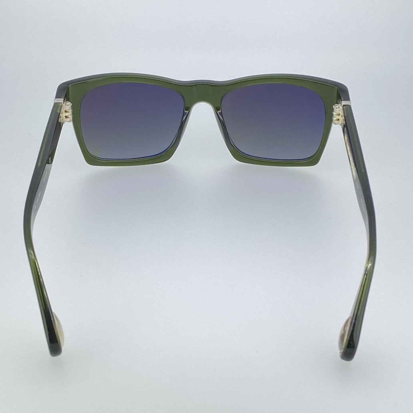 Ann Demeulemeester Sunglasses D-Frame Green and Green Graduated AD3C7SUN