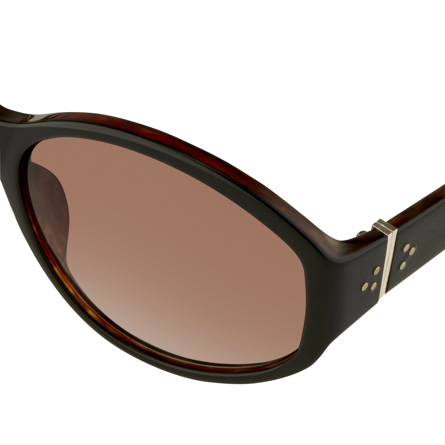 Ann Demeulemeester Ladies Sunglasses Oversized Black and Brown AD6C6SUN