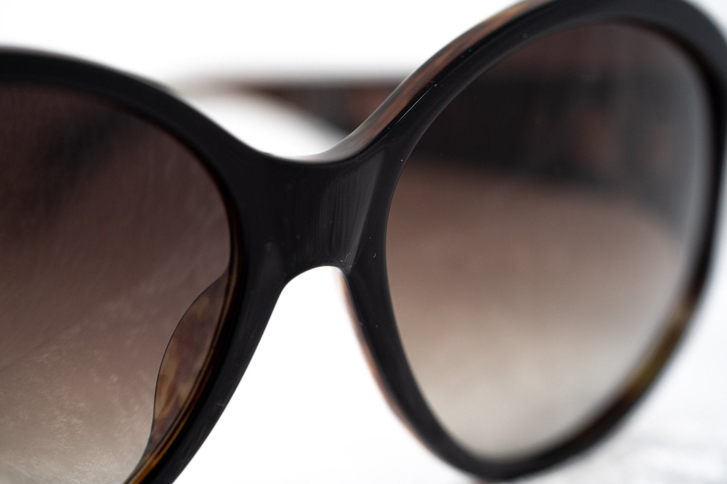 Ann Demeulemeester Ladies Sunglasses Oversized Black and Brown AD6C6SUN
