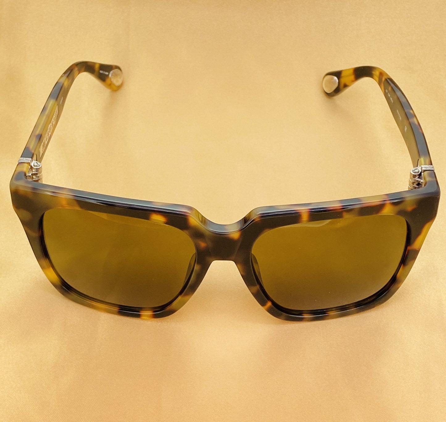 Ann Demeulemeester Sunglasses Oversized Tortoise Shell and Brown