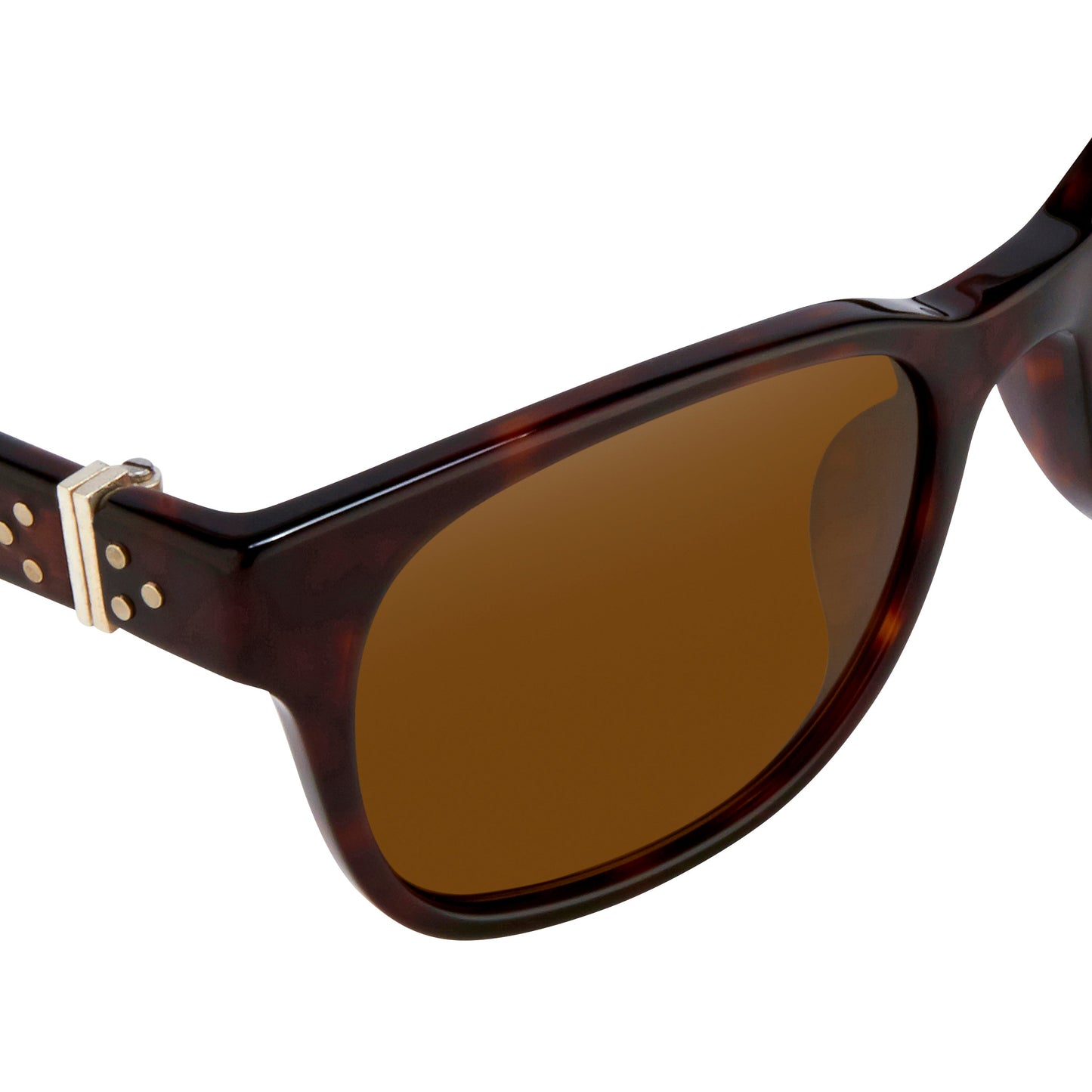 Ann Demeulemeester Sunglasses Rectangular Tortoise Shell and Brown