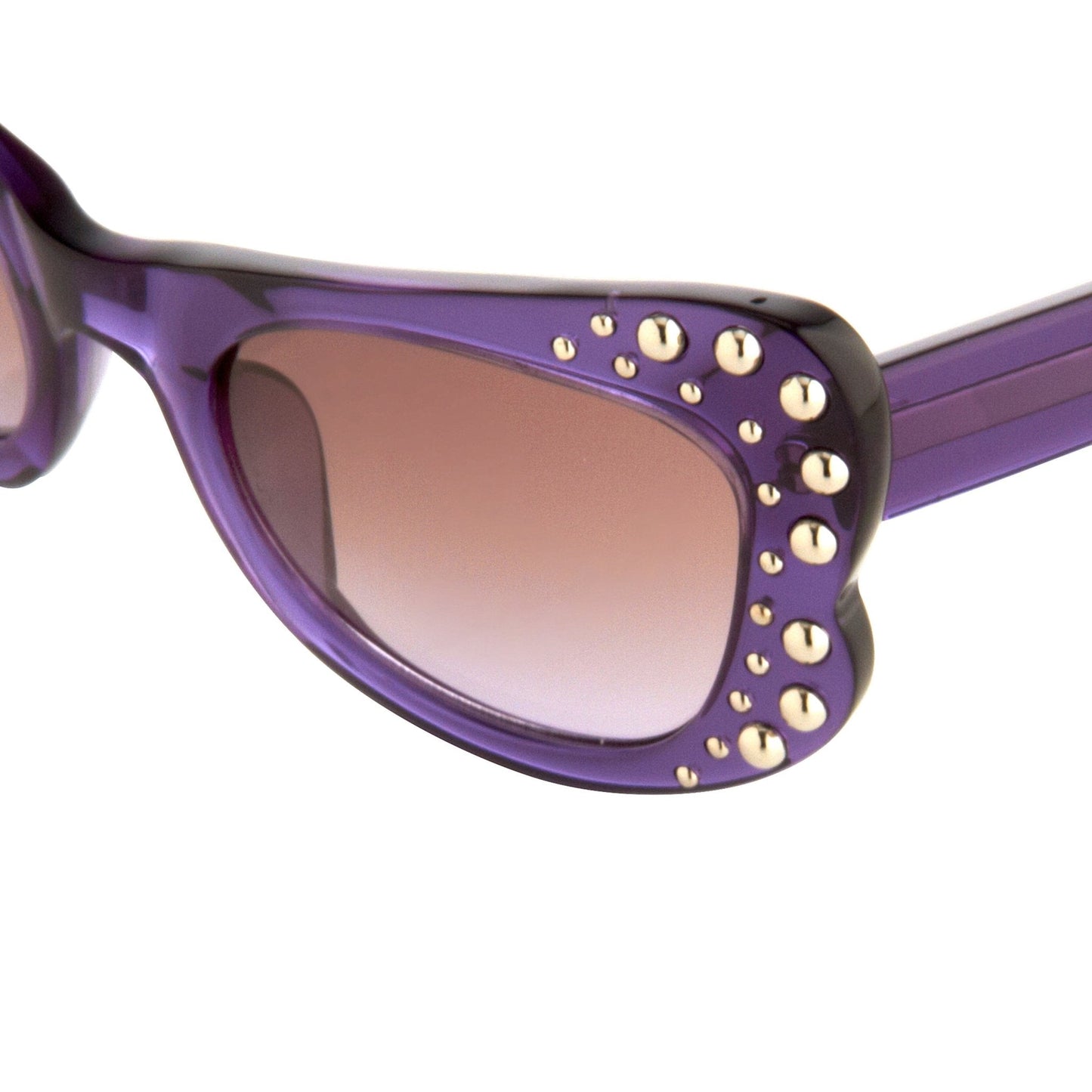 Agent Provocateur Ladies Sunglasses Butterfly Purple and Brown AP56C5SUN