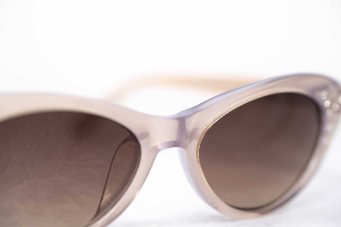 Agent Provocateur Ladies Sunglasses Cat Eye Beige and Brown AP21C12SUN