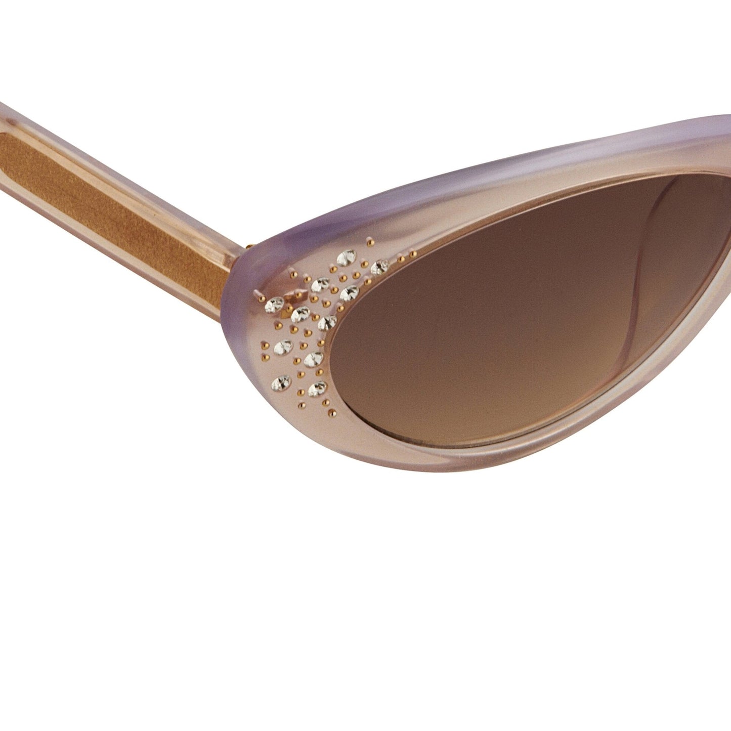 Agent Provocateur Ladies Sunglasses Cat Eye Beige and Brown AP21C12SUN