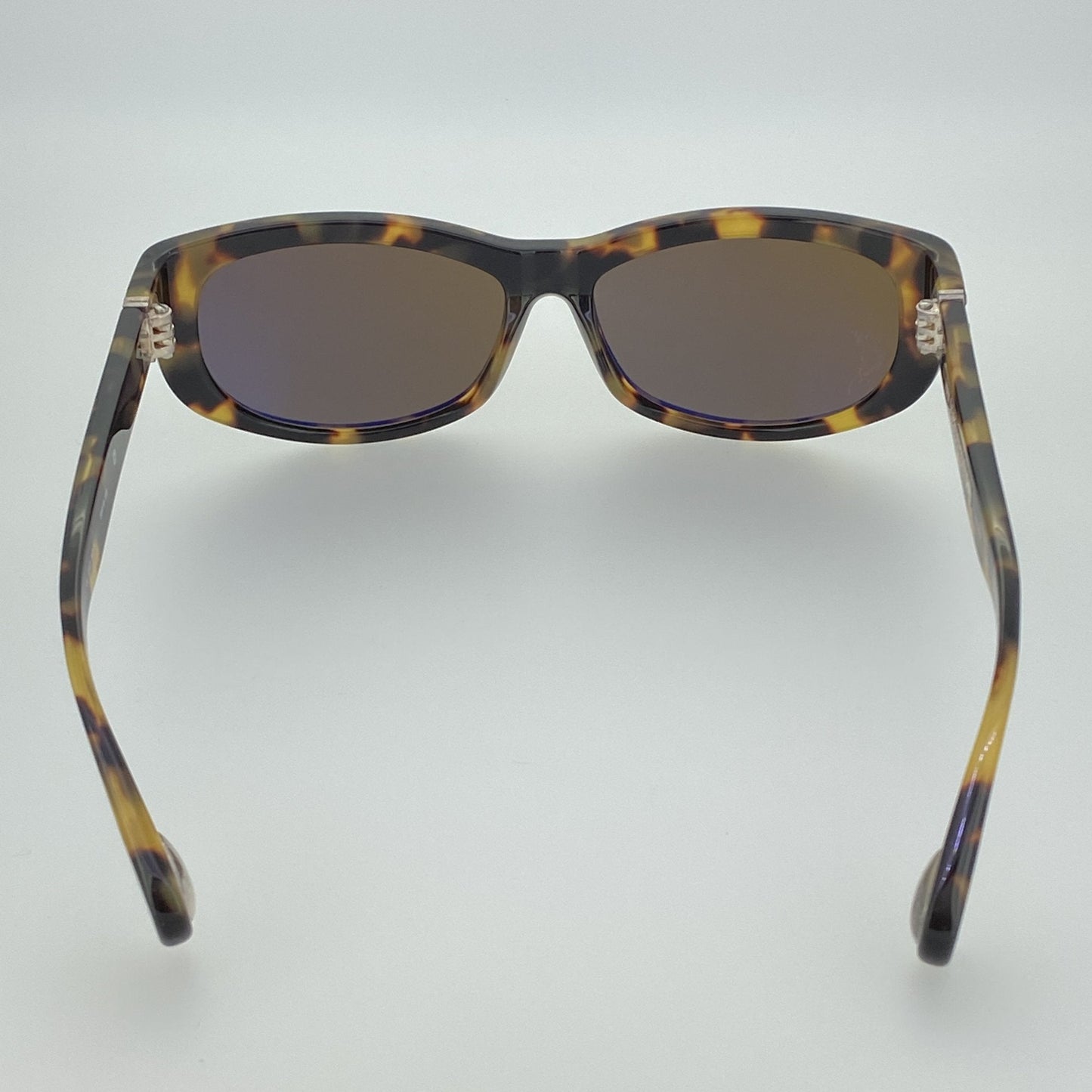 Ann Demeulemeester Ladies Sunglasses Cat Eye Tortoise Shell and Brown AD29C2SUN