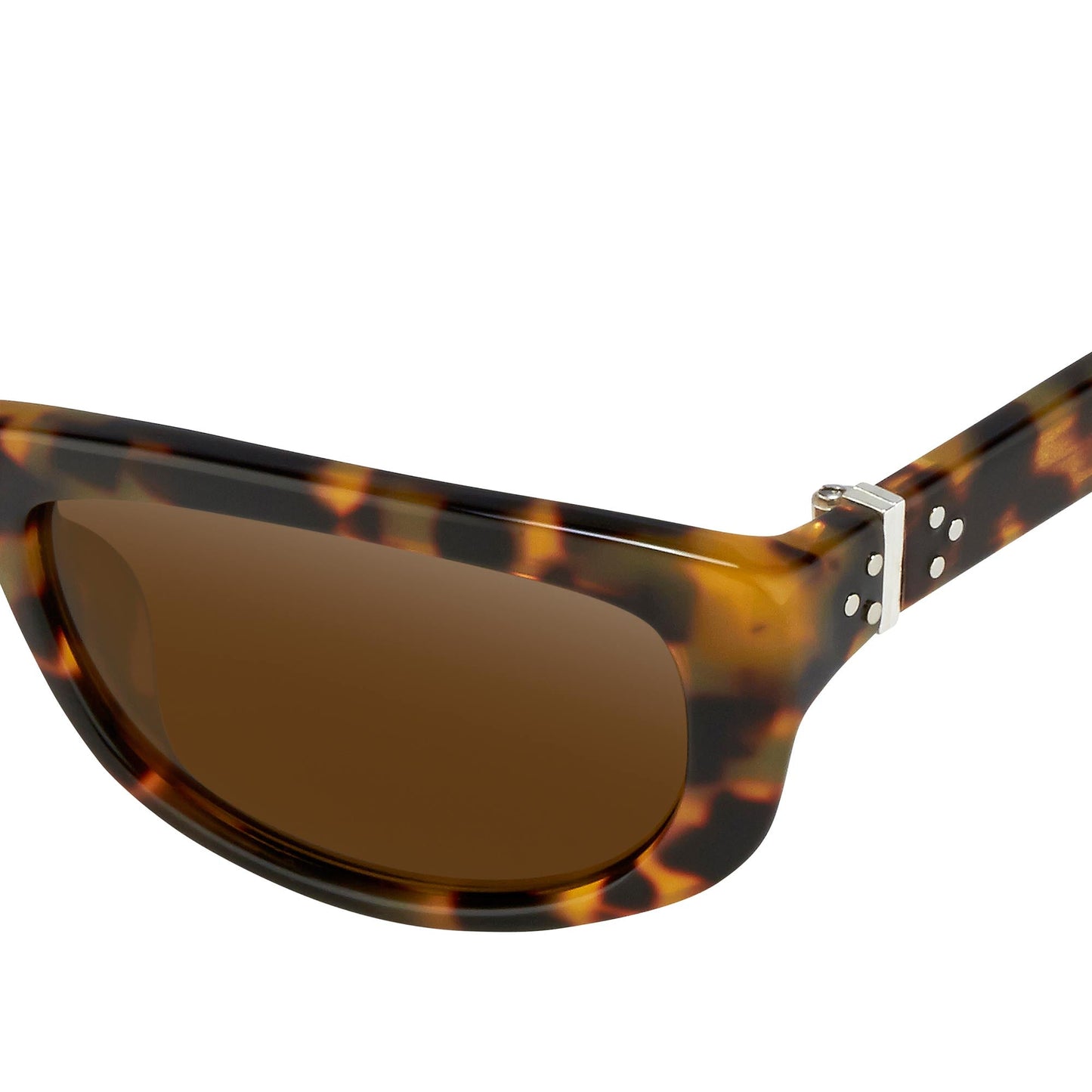 Ann Demeulemeester Ladies Sunglasses Cat Eye Tortoise Shell and Brown AD29C2SUN