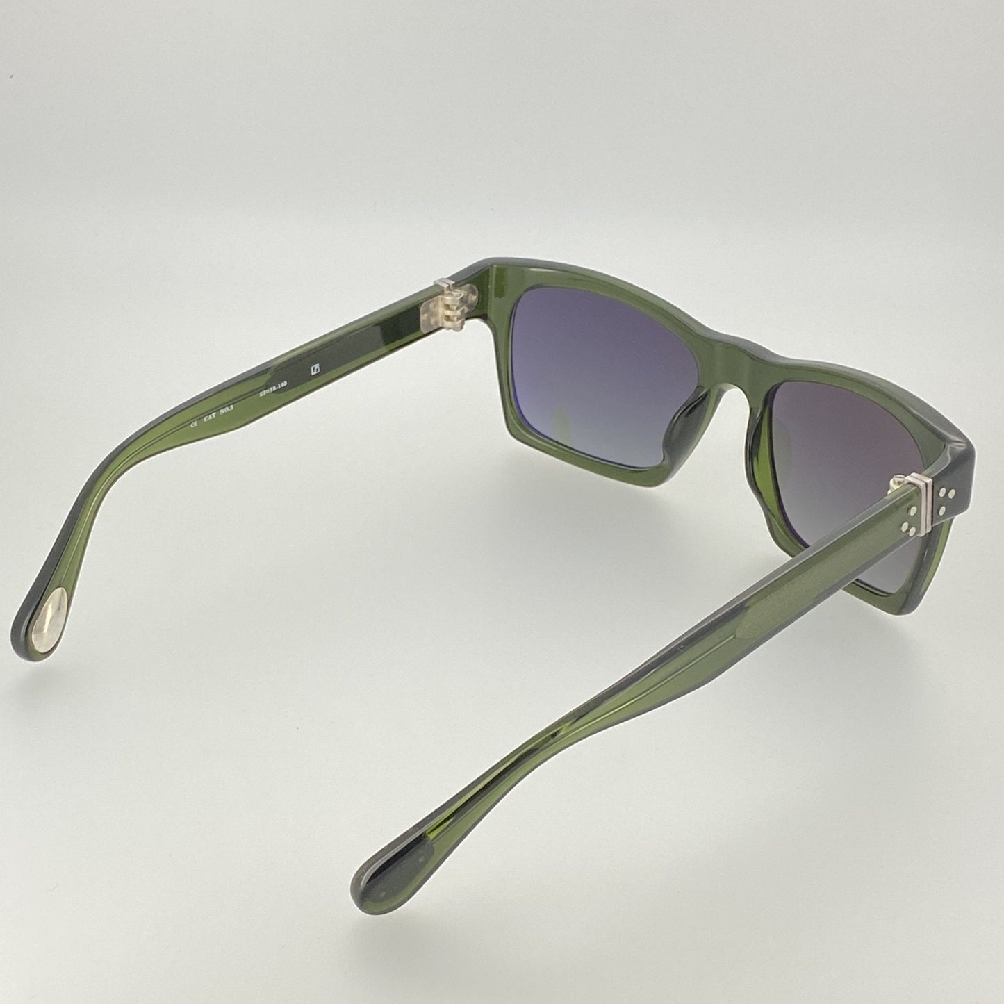 Ann Demeulemeester Sunglasses D-Frame Green and Green Graduated AD3C7SUN
