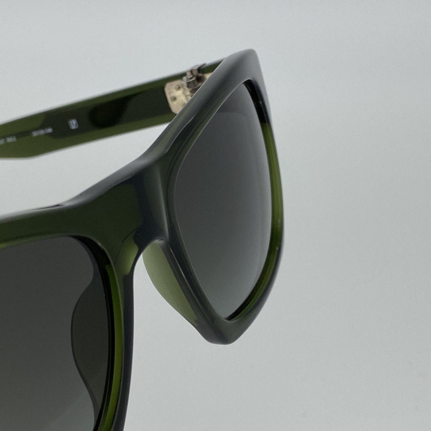 Ann Demeulemeester Sunglasses D-Frame Green and Green Graduated AD3C7SUN