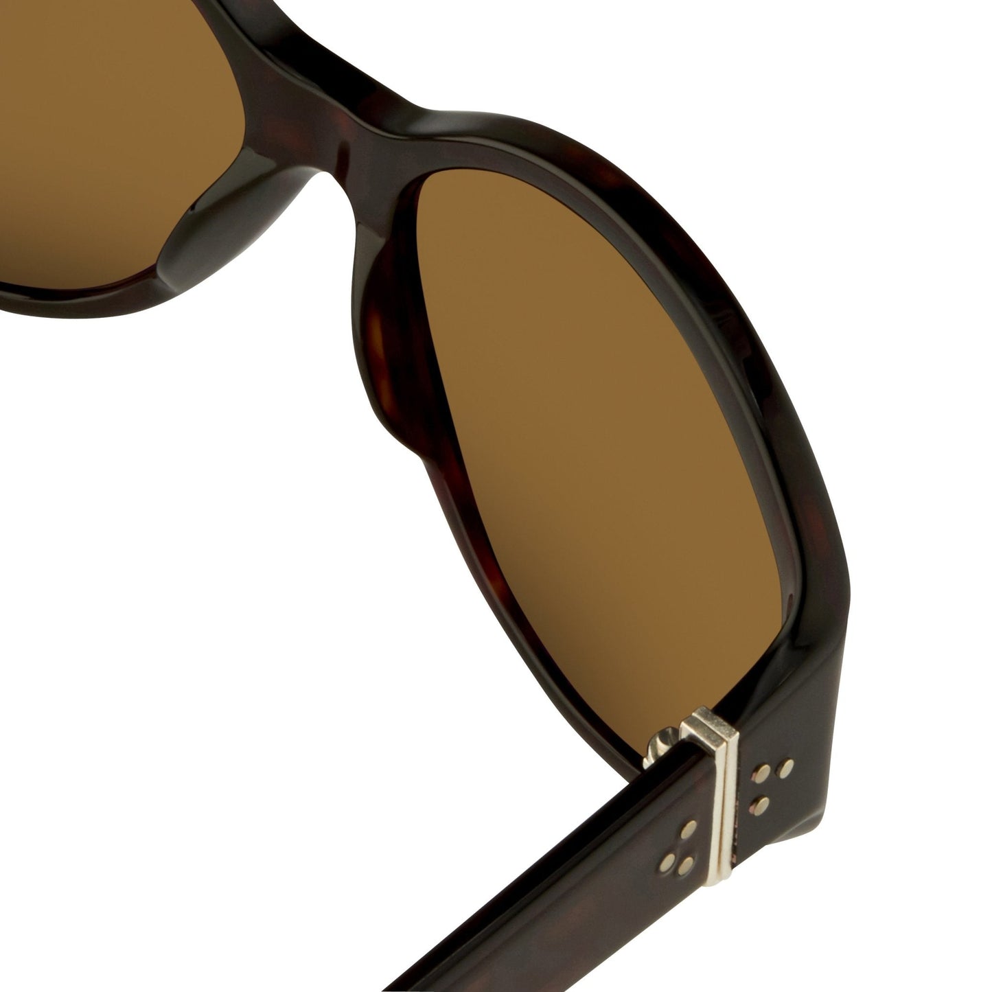 Ann Demeulemeester Ladies Sunglasses Oversized Tortoise Shell and Brown AD6C4SUN