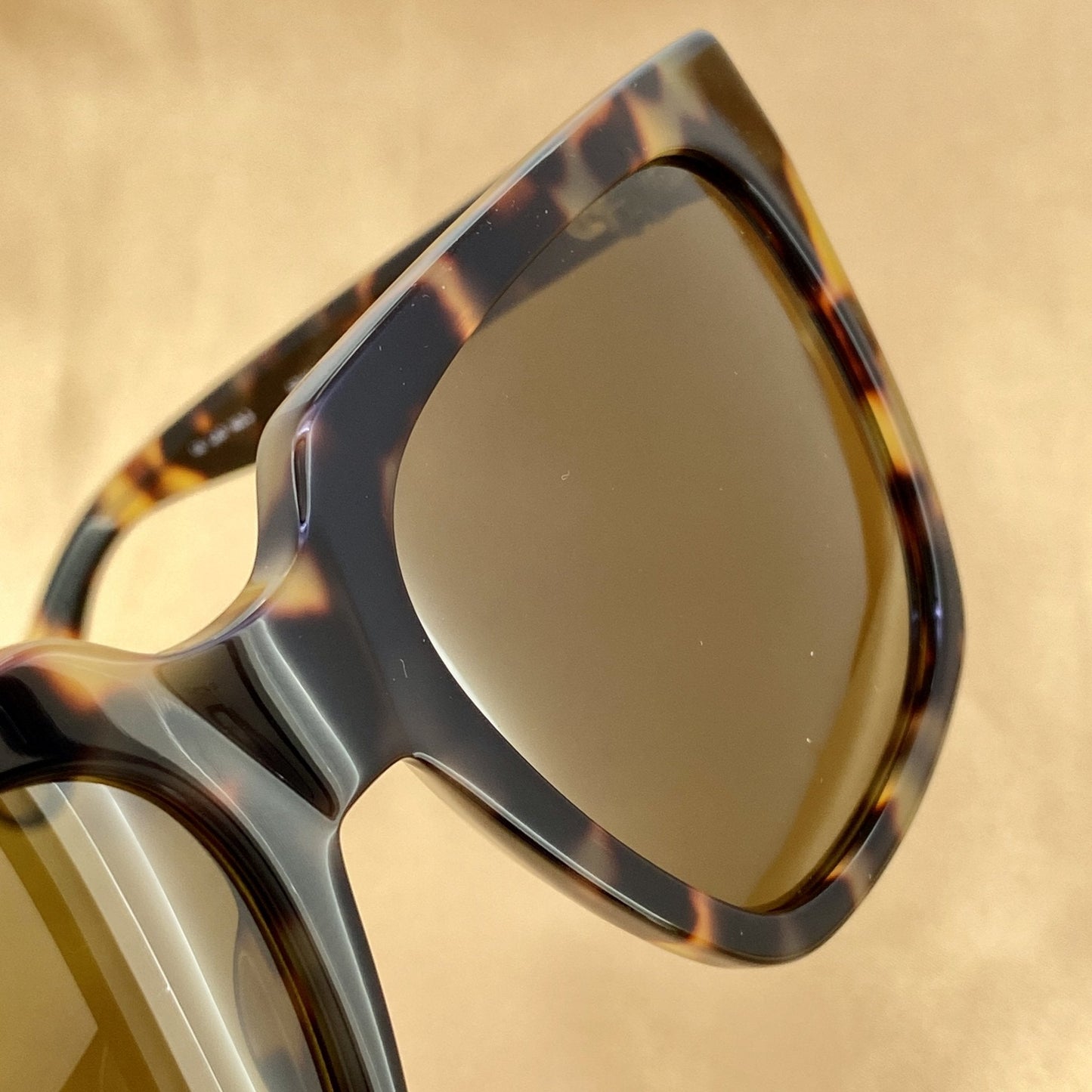 Ann Demeulemeester Sunglasses Oversized Tortoise Shell and Brown