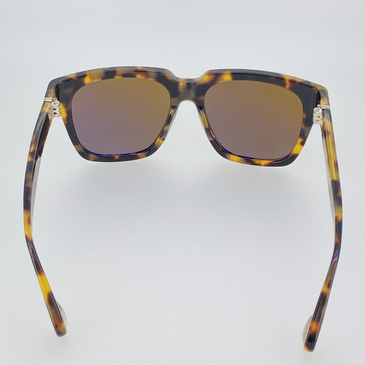 Ann Demeulemeester Sunglasses Oversized Tortoise Shell and Brown