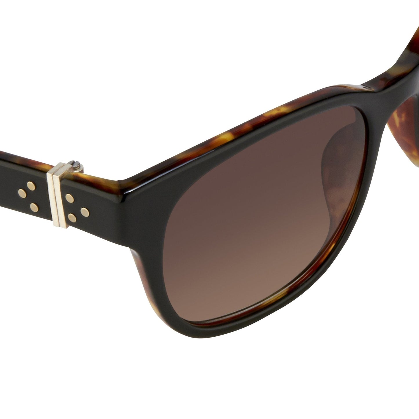 Ann Demeulemeester Ladies Sunglasses Black Tortoise Shell and Brown AD15C10SUN
